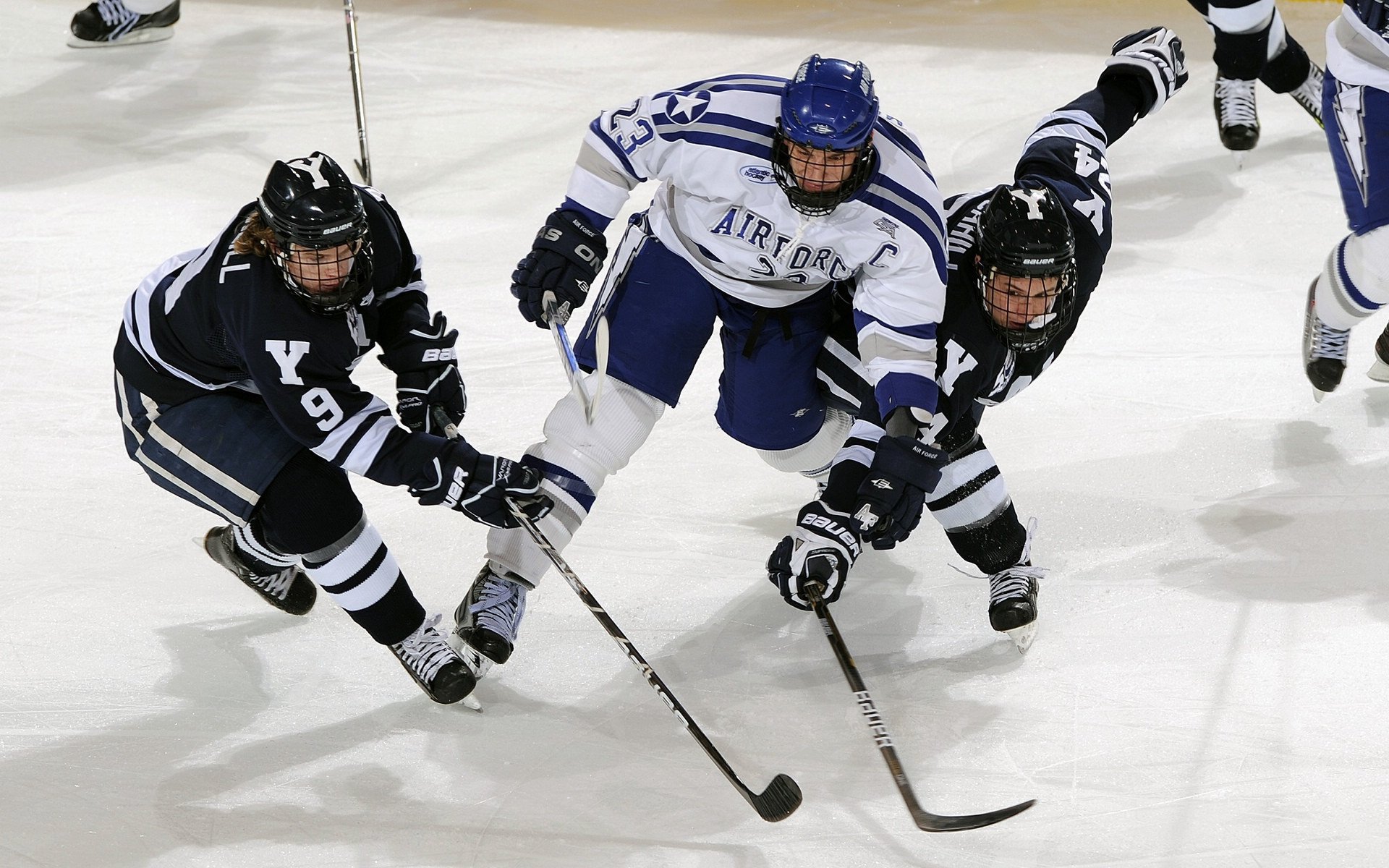 “东安湖体育公园:跑酷赛道成为极限运动新标杆”